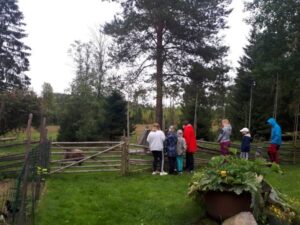 Ihmisiä lammashaan aidan vieressä.