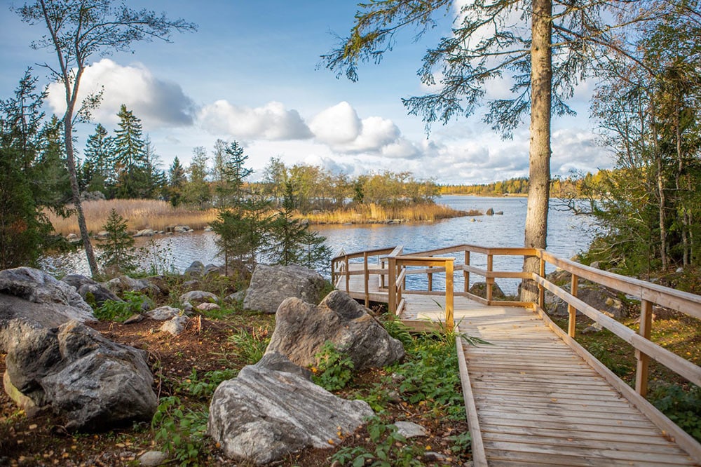 Järven rantaan vievä esteetön puusta rakennettu polku kulkee kivien ja puiden välissä.