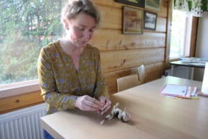 Vuokko Yli-Kesäniemi esittelee mustaa valkosipulia.