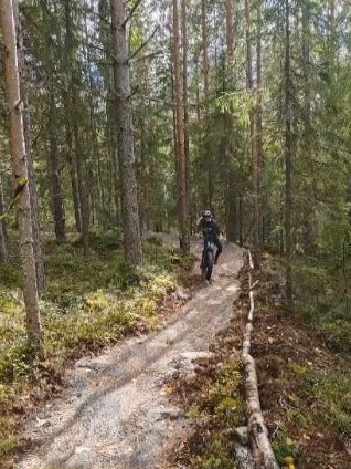 Maastopyöräilypolku metsässä, pyöräilijä lähestymässä.