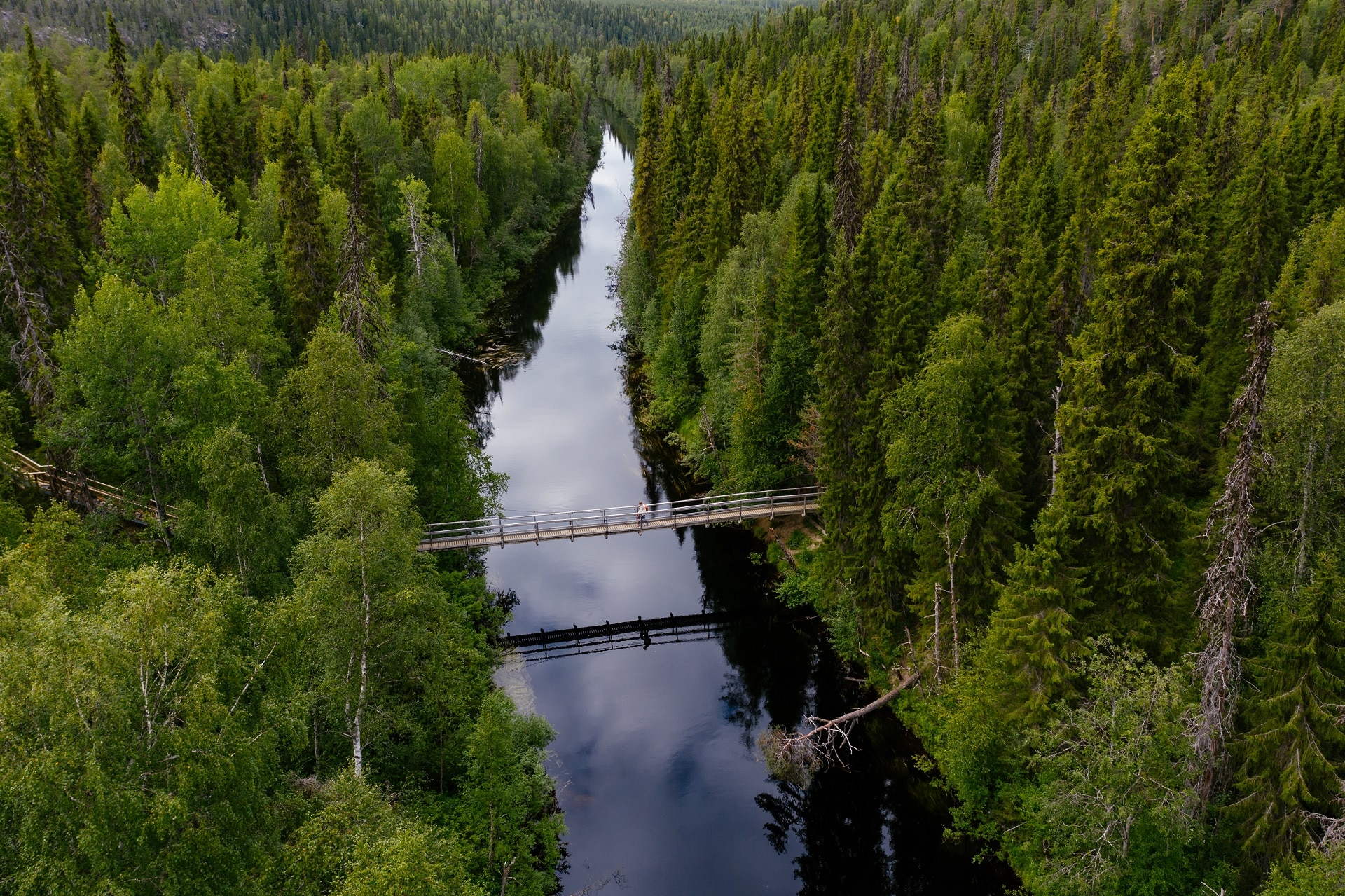 Joen yli kulkee silta, jota pitkin retkeilijä kävelee. Molemmin puolin jokea on metsää. Kuva on otettu ilmasta ja retkeilijä näkyy hyvin pienenä.