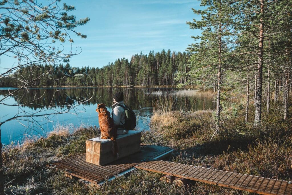 Aurinkoinen syyspäivä, nainen ja koira istuvat taukopaikalla tyynen erämaajärven rannalla.