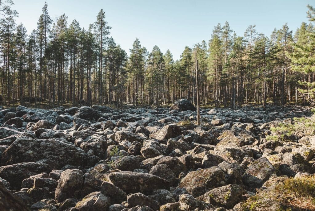 Pirunpelto eli erittäin kivikkoinen paikka metsässä.