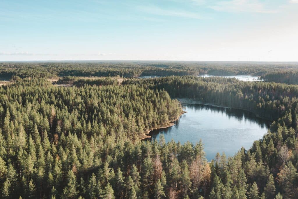 ilmakuva kangasmetsästä, jossa pieniä järviä