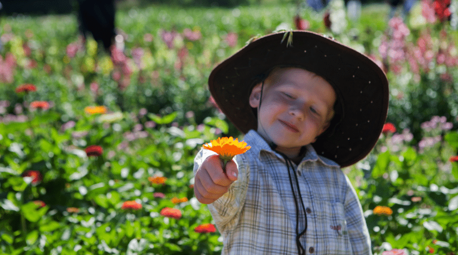 Poika kukkaniityllä kukka kädessä ja hattu päässä.