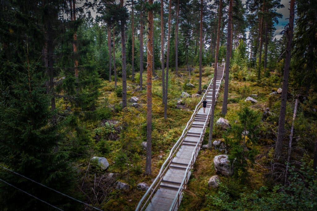 Kuntportaat metsässä