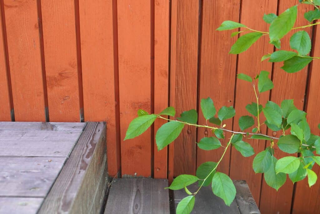 Punaista ulkolaudoitusta. Vasemmalla uutta lautaa ja oikealla vanhaa.