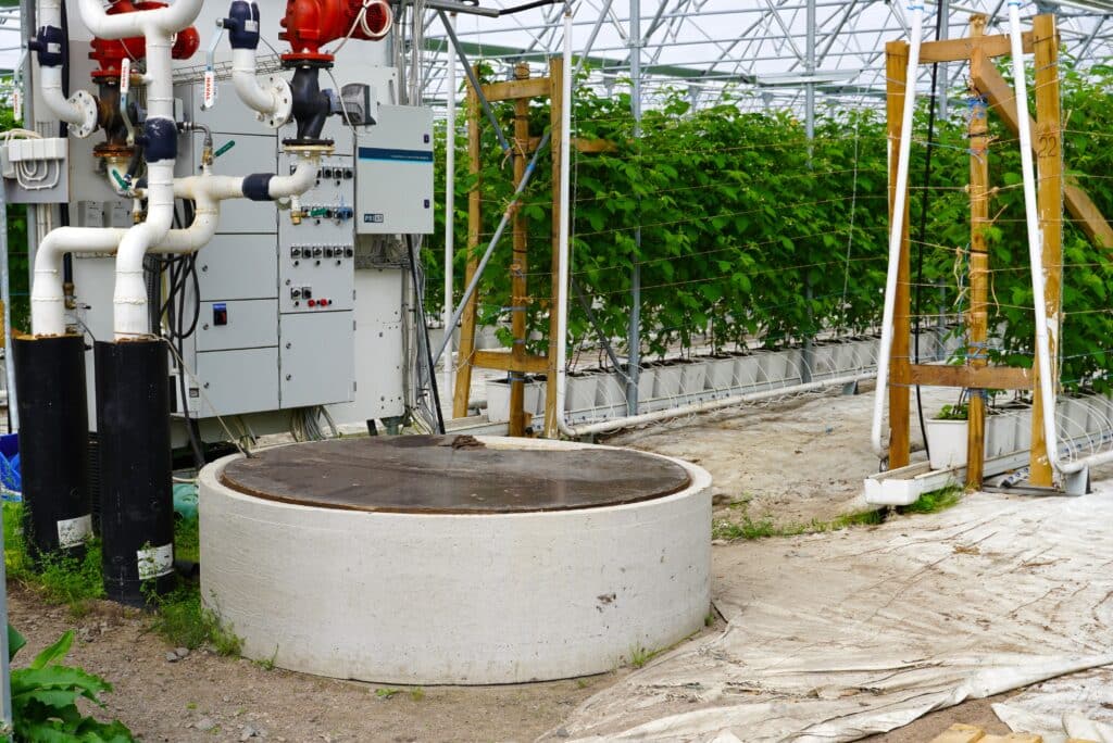 Vadelmia ja vedenkeruujärjestelmä kausihuoneessa.