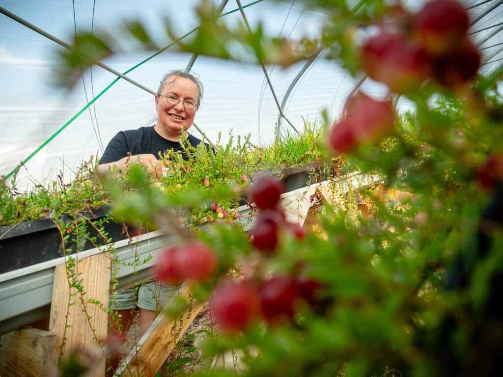 Tiina Harrinkari, Yrjölän tila