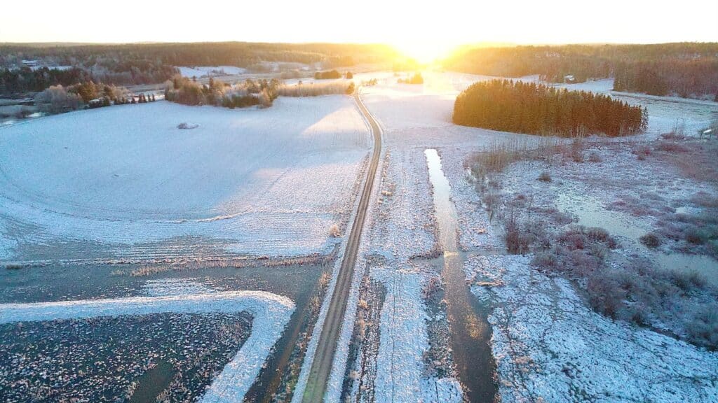 Ilmakuva kosteikosta.