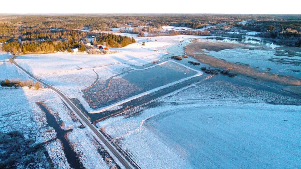 Ilmakuva kosteikoista.