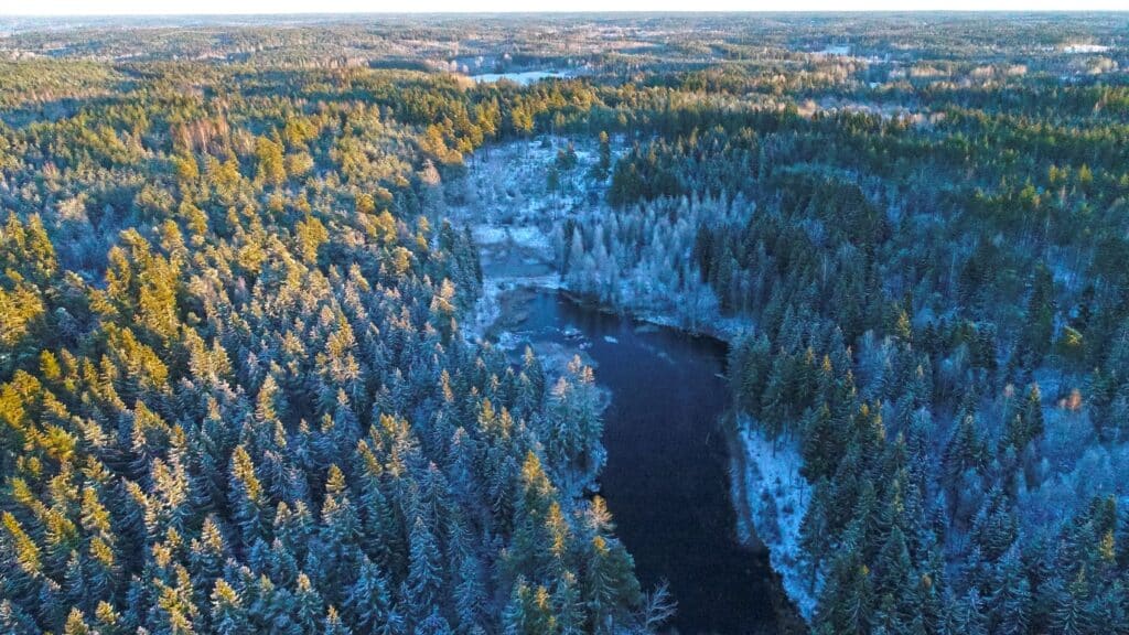 Ilmakuva kosteikoista.