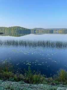 Järvi, jossa kaislikkoa ja takana vastarannalla metsää.