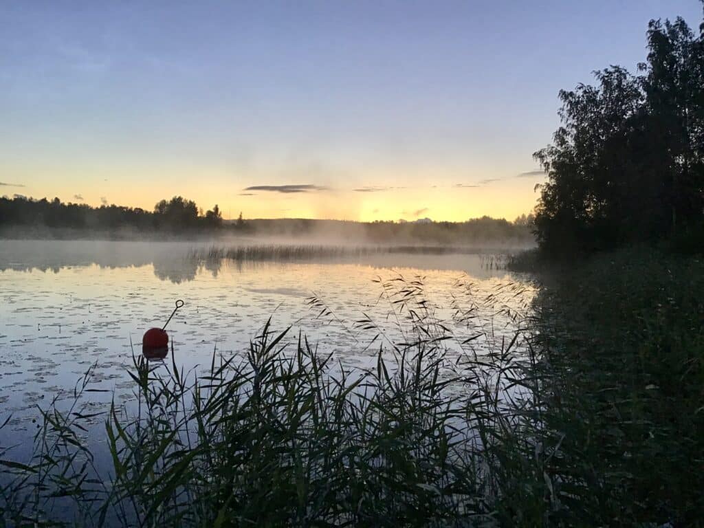 Järvi illan hämärtyessä, kuvan etualalla varjossa kaislikkoa, ja taustalla auringonlasku kultaa taivasta.