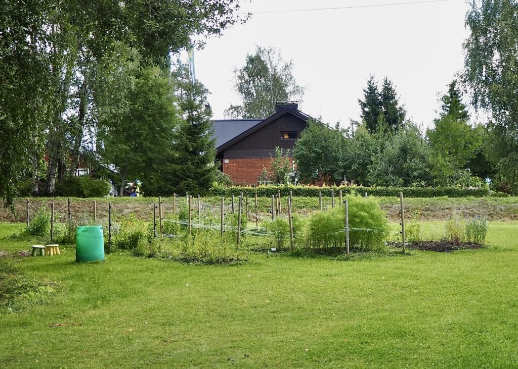 Leikkokukkayrityksen kukkapenkit.