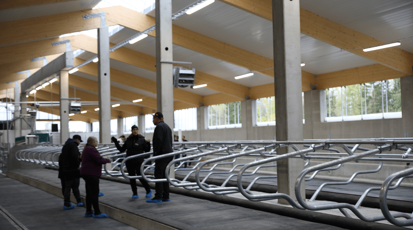 Ihmisiä tutustumassa pihattonavettaan. Navetassa ei ole vielä eläimiä ja se on uusi.