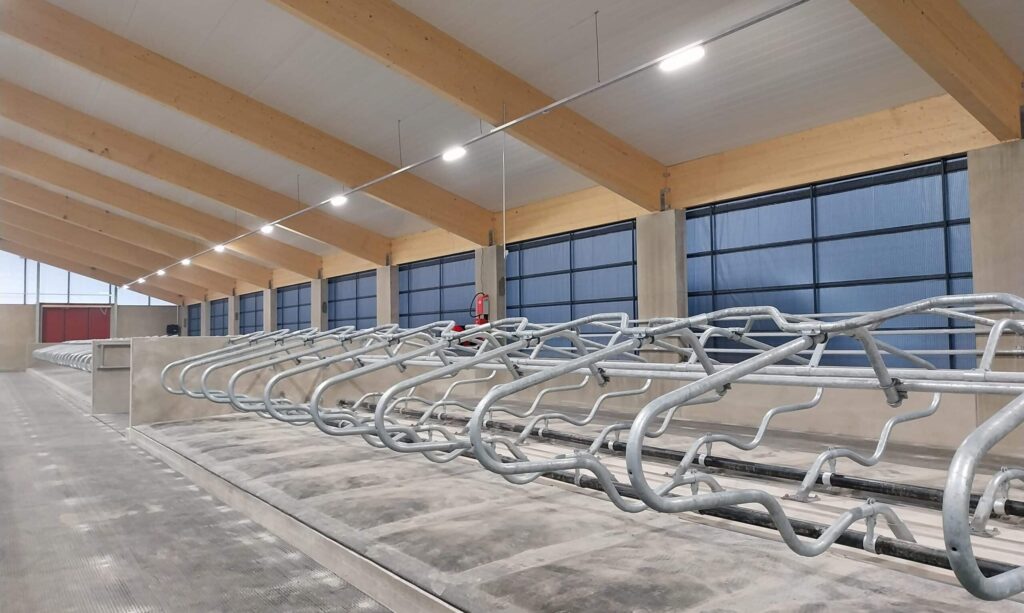 tyhjiä lehmäpaikkoja isosaa uudessa pihattonavetassa