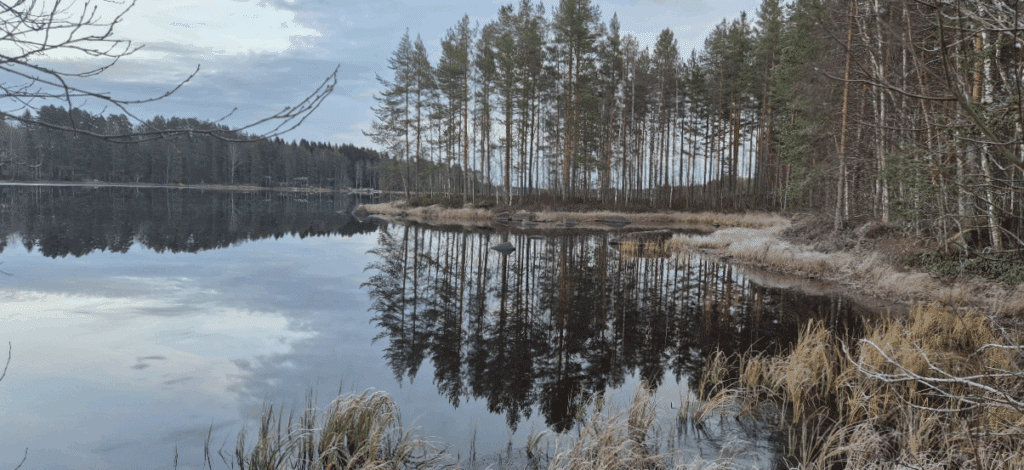Syksyistä järvenrantamaisemaa.