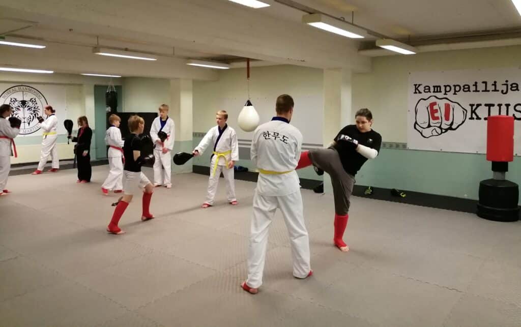 Hanmoon harrastajia salissa