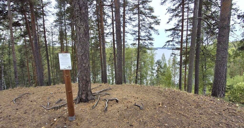 Opastaulu Pikku-Punkaharjulla. Taustalla näkyy mäntyjä ja järvimaisema.