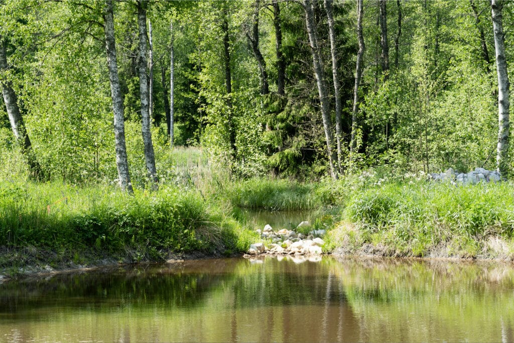 Kuvassa lampi, joka on osa fosforisiepparia.